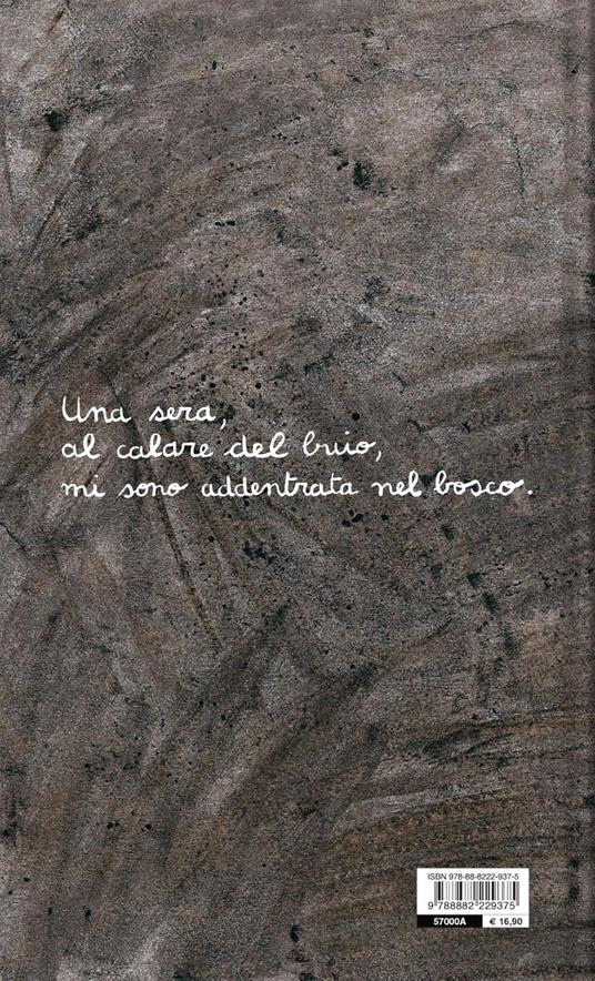 Notte magica. Ediz. a colori - Sarah Cheveau - 7