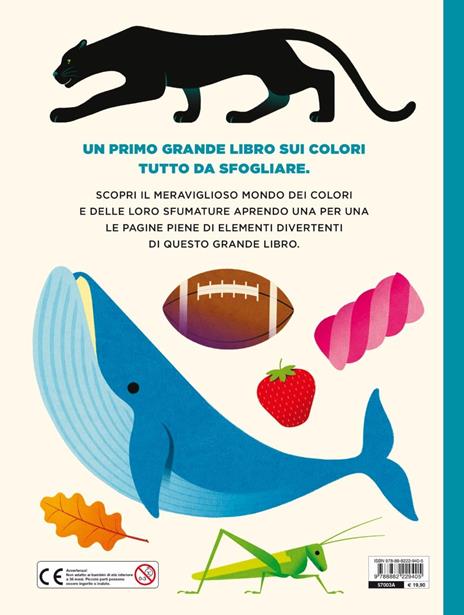 Il mio primo grande libro dei colori. Ediz. a colori - Andrea Rivola - 5