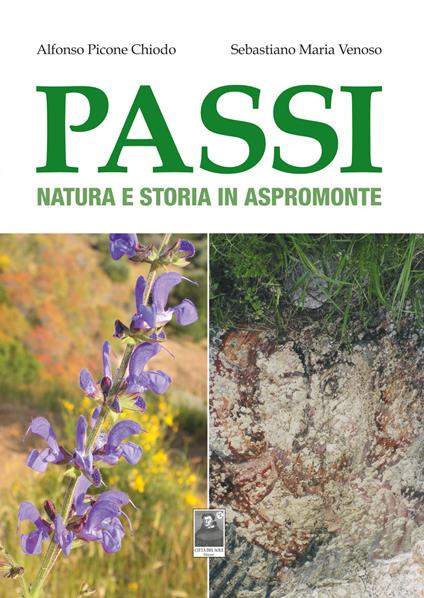 Passi. Natura e storia in Aspromonte - Alfonso Picone Chiodo,Sebastiano Maria Venoso - copertina