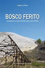 Bosco ferito. Inchiesta su un sito minerario del centro Sicilia