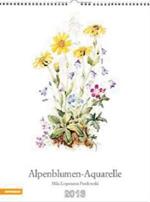  Alpenblumen. Acquarelle 2013