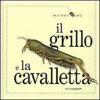 Il grillo e la cavalletta. Ediz. illustrata - Ting Morris - copertina