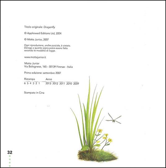 La libellula - Ting Morris - 3