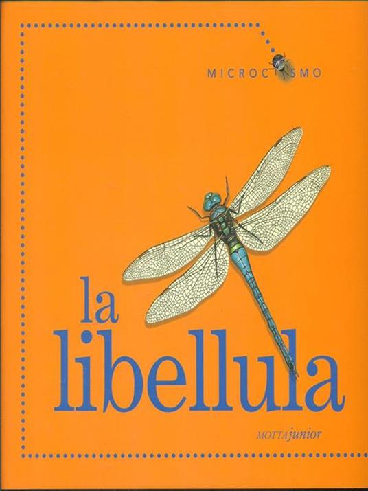 La libellula - Ting Morris - 2