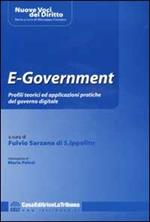 E-Government. Profili teorici ed applicazioni pratiche del governo digitale