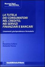 La tutela dei consumatori nel credito, nei servizi finanziari e bancari. Lineamenti, giurisprudenza e formulario