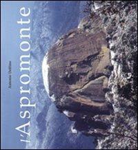 L'Aspromonte - Antonio Delfino - copertina