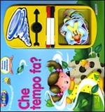 Che tempo fa? Con gadget