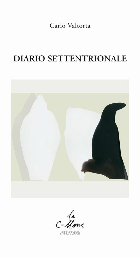 Diario settentrionale - Carlo Valtorta - copertina