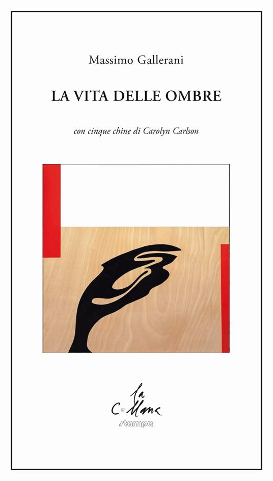 La vita delle ombre - Massimo Gallerani - copertina