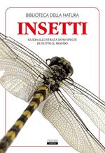 Insetti. Guida illustrata di 80 specie di tutto il mondo. Ediz. illustrata