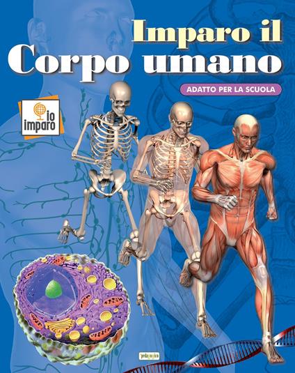 Imparo il corpo umano. Ediz. a colori - copertina
