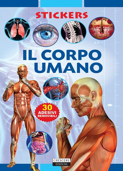 Il corpo umano. Con 30 adesivi removibili. Ediz. illustrata - copertina