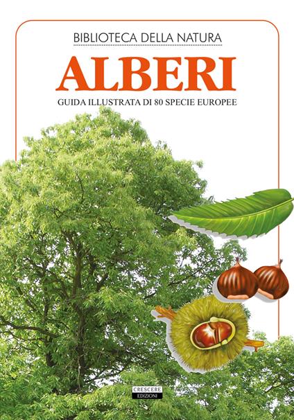 Alberi. Guida illustrata di 80 specie europee - Liborio Daniele Festa - copertina