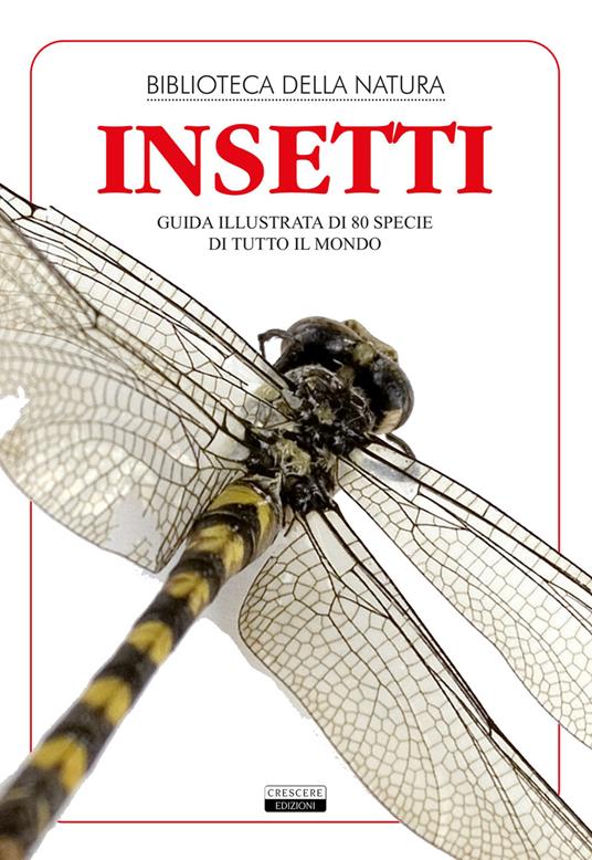 Insetti. Guida illustrata di 80 specie di tutto il mondo - Liborio Daniele Festa - copertina