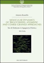 Molecular dynamics of triglycerides. Atomistic and coarse-grained approaches. Tesi di dottorato in ingegneria chimica