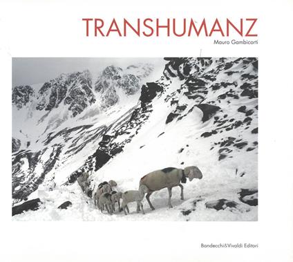 Transhumanz. Ediz. italiana, tedesca e inglese - Mauro Gambicorti - copertina