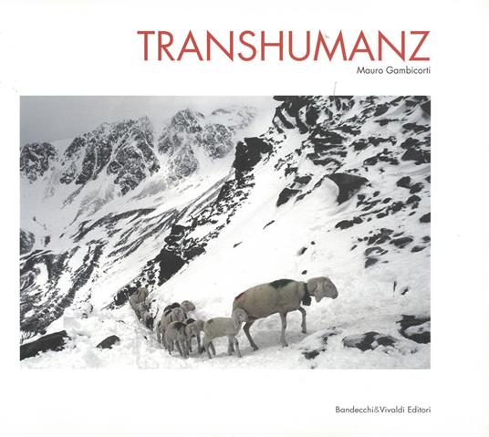 Transhumanz. Ediz. italiana, tedesca e inglese - Mauro Gambicorti - copertina