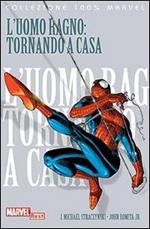 L' Uomo Ragno: tornando a casa