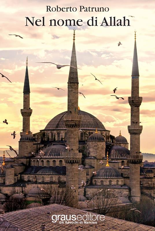 Nel nome di Allah - Roberto Patruno - copertina