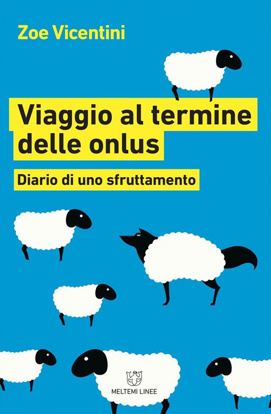 Viaggio al termine delle onlus. Diario di uno sfruttamento - Zoe Vicentini - ebook