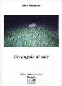 Un angolo di sole - Rino Passigato - copertina