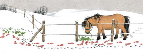 Indovina che cosa succede. Una passeggiata invisibile. Ediz. a colori - Gerda Muller - 2