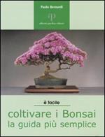 Coltivare i bonsai. La guida più semplice