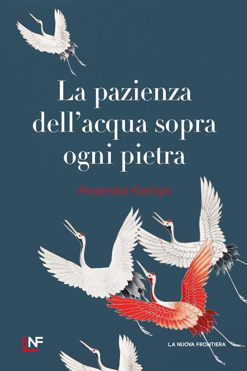 La pazienza dell'acqua sopra ogni pietra - Alejandra Kamiya - copertina