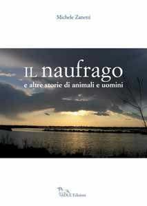 Libro Il naufragio Michele Zanetti