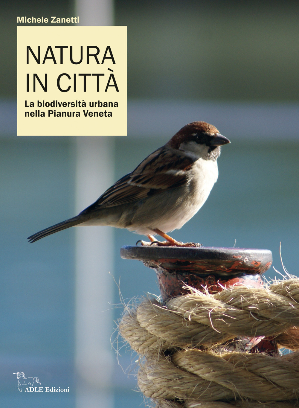 OCCASIONI SICURE