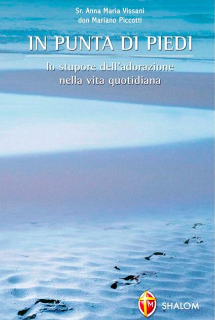 In punta di piedi - Anna Maria Vissani,Mariano Piccotti - copertina
