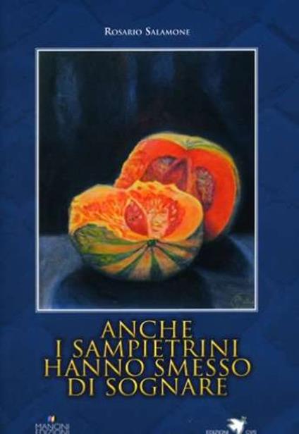 Anche i sampietrini hanno smesso di sognare - Rosario Salamone - copertina