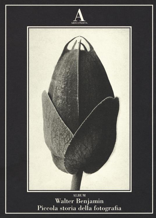 Piccola storia della fotografia. Ediz. illustrata - Walter Benjamin - copertina