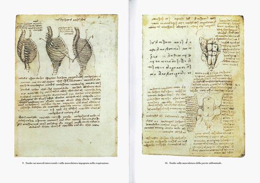 Disegni anatomici. Ediz. a colori - Leonardo da Vinci - 3