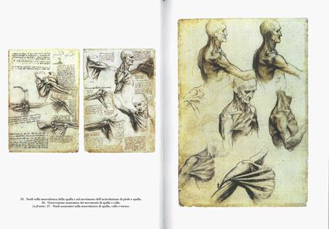 Disegni anatomici. Ediz. a colori - Leonardo da Vinci - 4