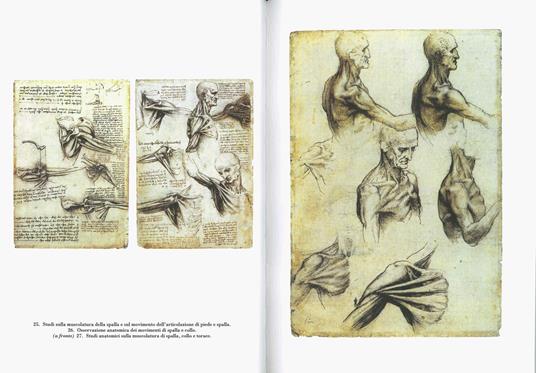 Disegni anatomici. Ediz. a colori - Leonardo da Vinci - 4