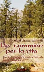 Un cammino per la vita. Identità carismatica e missione ecclesiale nel cammino di perfezione di s. Teresa di Gesù