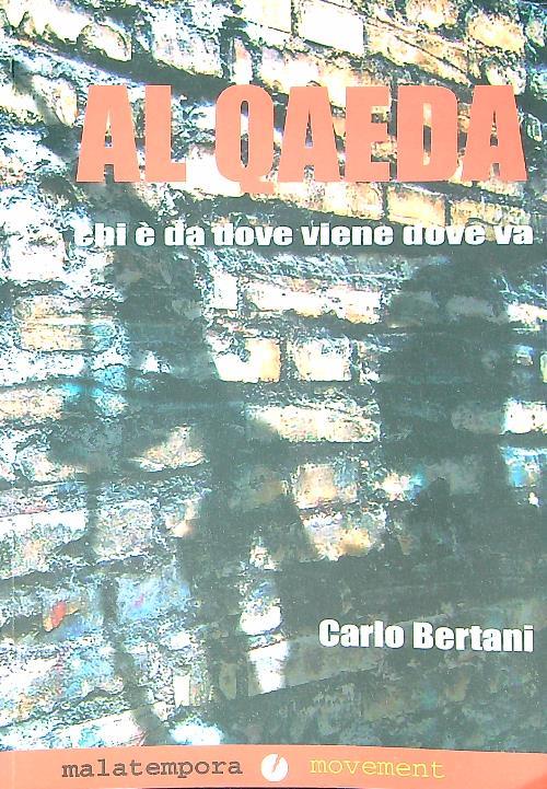 Al Qaeda. Chi è, da dove viene, dove va