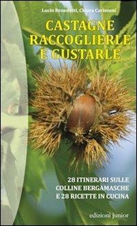 Castagne. Raccoglierle e gustarle. 28 itinerari sulle colline bergamasche e 28 ricette in cucina - Chiara Carissoni,Lucio Benedetti - copertina