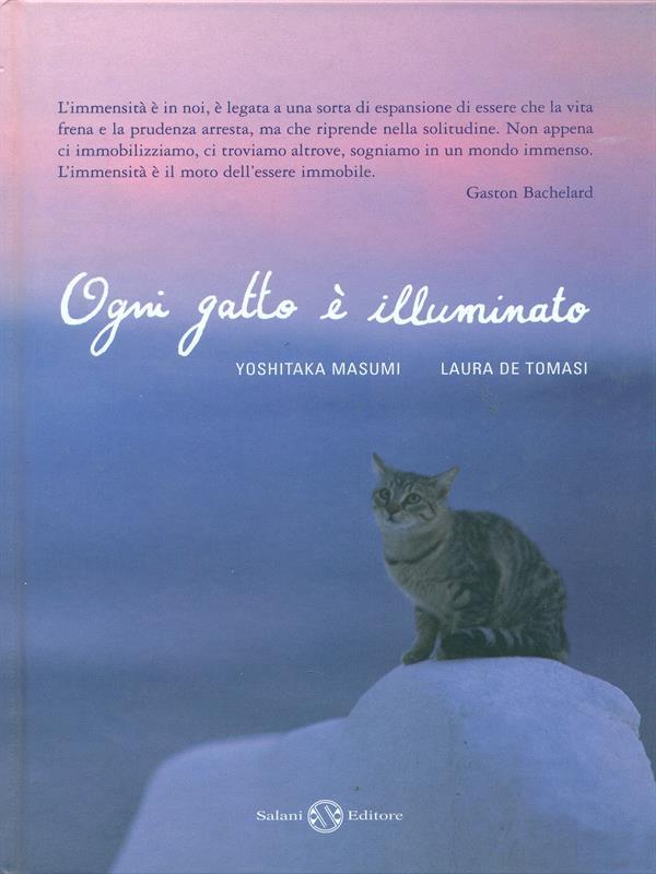 Ogni gatto è illuminato