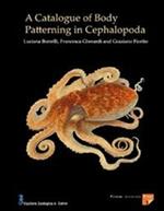 A catalogue of body patterning in Cephalopoda