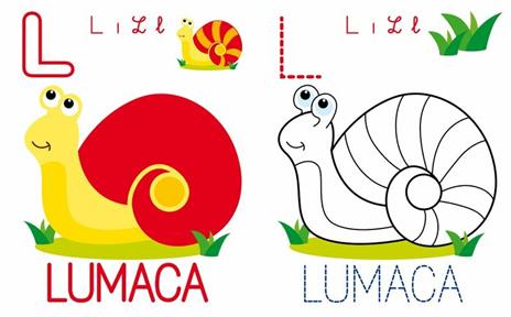 Le lettere dell'alfabeto. Ediz. illustrata - Roberta Fanti - 2