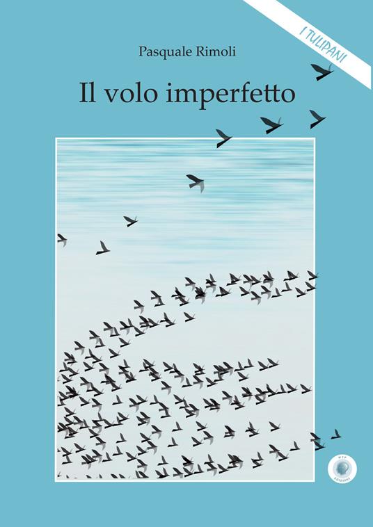 Il volo imperfetto - Pasquale Rimoli - copertina