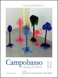 Campobasso. Capoluogo del Molise. Vol. 2: Funzione urbana, cultura - copertina