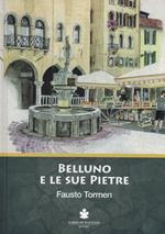 Belluno e le sue pietre