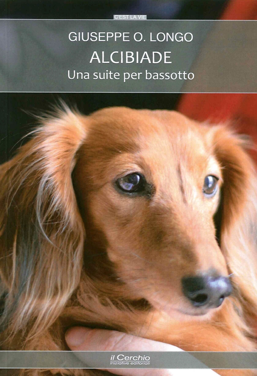 Libreria Europa