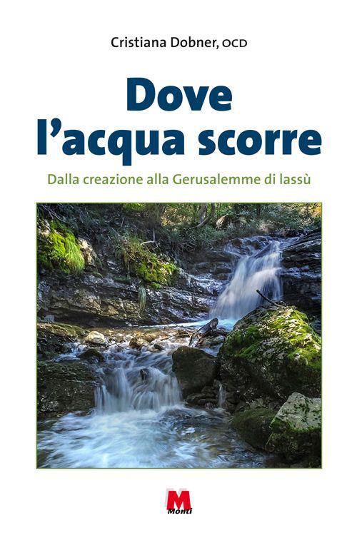 Dove l'acqua scorre. Dalla Creazione alla Gerusalemme di lassù - Cristiana Dobner - copertina