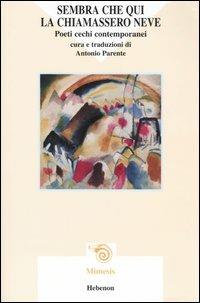 Sembra che qui la chiamassero neve. Poeti cechi contemporanei - copertina