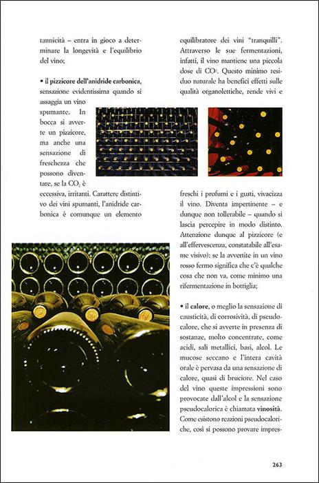 Il piacere del vino - Paola Gho,Giovanni Ruffa - 4